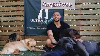 Ο σκύλος μου με δαγκώνει. Τι να κάνω;