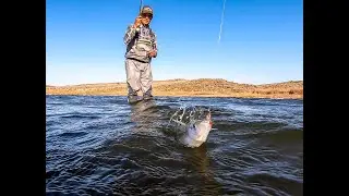 pesca de pejerrey con mosca