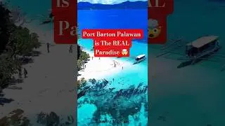 Port Barton Palawan is The REAL Paradise 🤯 🌊