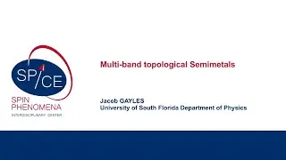 Talks - Young Research Leaders Group Workshop 2022 -  Jacob GAYLES, University of South Florida