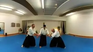 Aikido training: Randori
