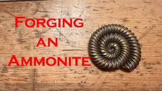 Forged Ammonite