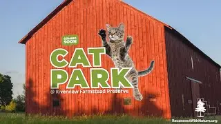 The Cat Park at Riverview Farmstead