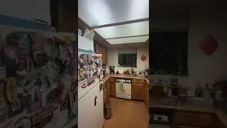 Bug Kill 4A Kitchen    #bug #moths #funny #bugtracking #pancake #insects #gross #comedy