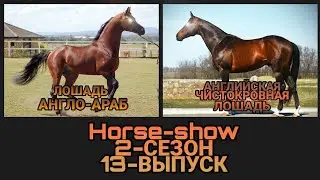 🐴Horse-Show🐴 2-СЕЗОН 13-ВЫПУСК (АНГЛ. ЧИСТОКРОВНАЯ и АНГЛО-АРАБ) &laquo;Самозванцы&raquo;