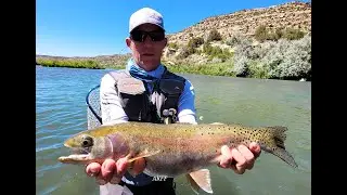 San Juan River Current Fishing Report on a Half Day Trip,  Many Big Trout Caught June 2024