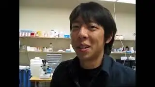 Two-photon imaging of neural activity in zebrafish