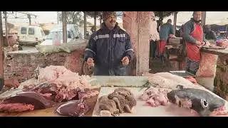 مباشرة من سوق الأسبوعي خميس سيدي حجاج مع تمن فضات