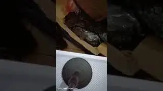 Video Unboxing Part Pc i5 9400F Asrock B365 Phantom Gaming 4 Corsair Vengeance 8gb