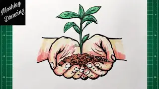 How to Draw Hands Holding a Plant