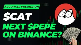 How High can Simon's CAT coin go? Simon cat coin price prediction explained!