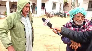 उदयपुरवाटी के गाॅव छावसरी की गऊशाला ।।