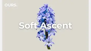 Morning Clarity Mix 🪻 Soft Ascent | Chill Electronica for Study, Work & Focus