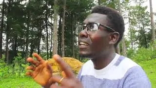 NTARE NAYE BY ARTHURFORCE MAIKO FT PETERSON