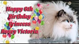 Happy 6th Birthday Princess Rosey Victoria!
