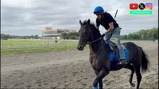 Gosger, Baeza, Scottish Lassie, Good Cheer Prepare for Pennsylvania Derby & Cotillion Weekend
