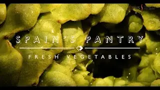 Spain's Pantry: Fresh Vegetables