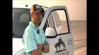 Wild Horses of Corolla on International TV