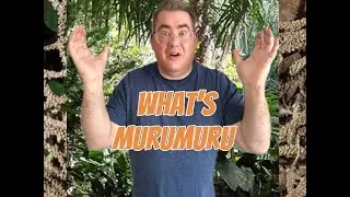 WHAT IS MURUMURU? #classicshaving #shavingsoap #classicshave #sotd #vintageshaving #mensgrooming