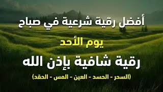 أفضل رقية شرعية في صباح يوم الاحد  علاج الحسد_السحر_العين _حفظ وتحصين للمنزل _القارئ علاء عقل