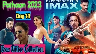 Pathaan Movie Box Office Collection Day 14 | #pathaan #sharukhkhan #deepikapadukone #johnabraham