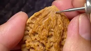 核桃修理修尖 #雕刻 #核雕 Walnut repair and sharpening # Carving # Nuclear carving