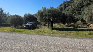 AYDIN'SA SATILIK ZEYTİNLİK 15 DÖNÜM ASFALT YOLA 0 300 ad ZEYTİN AĞACI VAR ANKARA AYDIN YOL ÜZERİNDE 