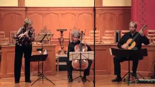 Franz Schubert: Arpeggione Sonata D. 821  / Adagio and Allegretto.   flute, cello, guitar