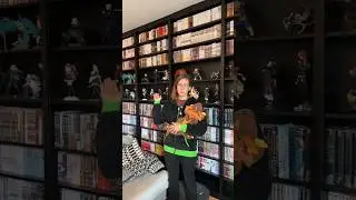 maison remplie de manga