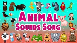 Animal Sounds Song | Animal Sounds Learning Videos | LittleKidsTV