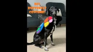 HSC Crafts Ep. 5: DIY Butterfly Costume!