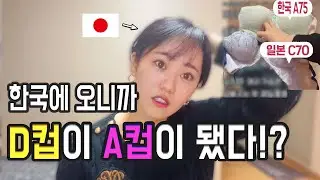 일본인인 제가 한국에 와서 D컵→ A컵이 됐습니다...