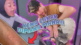 PERTAMA KALI MANDIIN KUCING SENDIRI !!! - SUSAH BANGET TERNYATA !!