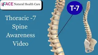spine awareness video T7