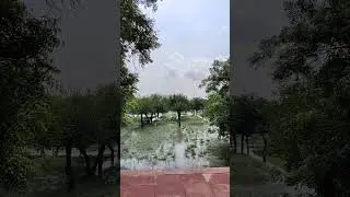 आगरा: महताब बाग डूबा. पर्यटकों के लिए गेट बंद. यहां से ताज का दीदार बंद. #reels #agra #flood #yamuna