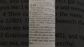 Shabbat Shalom   #YAH # YAHUSHA #Africans #Judah #Tribes # People #Black #Music #Spirit #Reggae #Us