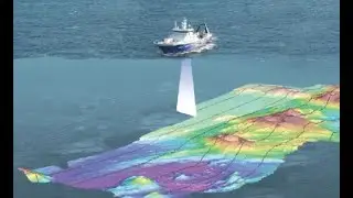 Marine Seismic Surveys and the Environment