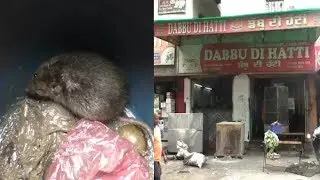 Health Department Raid At Dabbu Chicken & Manga Chicken Ludhiana