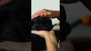 PET GLAMOUR LINHA INSPIRA&Ccedil;&Atilde;O ACONCHEGO