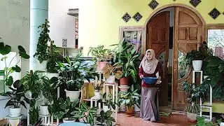Tanaman Hias Sederhana Juga Bisa Tampil Cantik