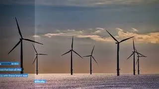 The Clean Energy Business Network Diaries
