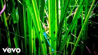 CailinaLeigh - One Round ft. EyeDentify