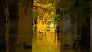 Teri yadon ke chadar odehe#youtubeshorts #love #viral #song #music #tranding #shortvideos #video