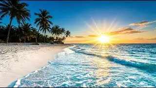 Feel Good Island Music - Tropical Paradise &bull; Uplifting Beats for Summer ☀️ - island reggae, vibes