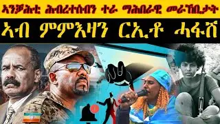 ERIPM |   ኣንቓሕቲ ሕብረተሰብን፡ ተራ ማሕበራዊ መራኸቢታት ኣብ ምምእዛን ርኢቶ ሓፋሽ   | Current Affairs ~ እዋናዊ ጉዳያት