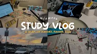 Productive Weekend Study Vlog | 16 hours, Korean study planner, Forest, uni food