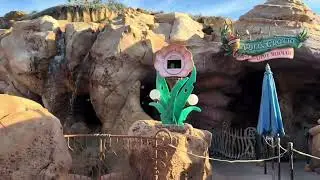 Experience Ariel&rsquo;s Grotto at Magic Kingdom &mdash; meet The Little Mermaid and dive into Disney magic! 🐚✨ 