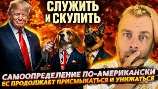 САМООПРЕДЕЛЕНИЕ ПО-АМЕРИКАНСКИ | ДРЕССИРОВКА ЕВРОПЫ ПРОДОЛЖАЕТСЯ