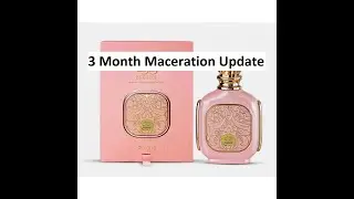 3 Month Maceration Update on Zukhruf Pink by Zimaya | Fragrances #141