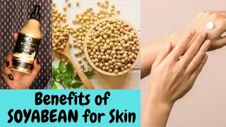 Benefits of Soyabean for Skin | Mod Wellness Daily Moisturizer Review Best body Lotion for winters